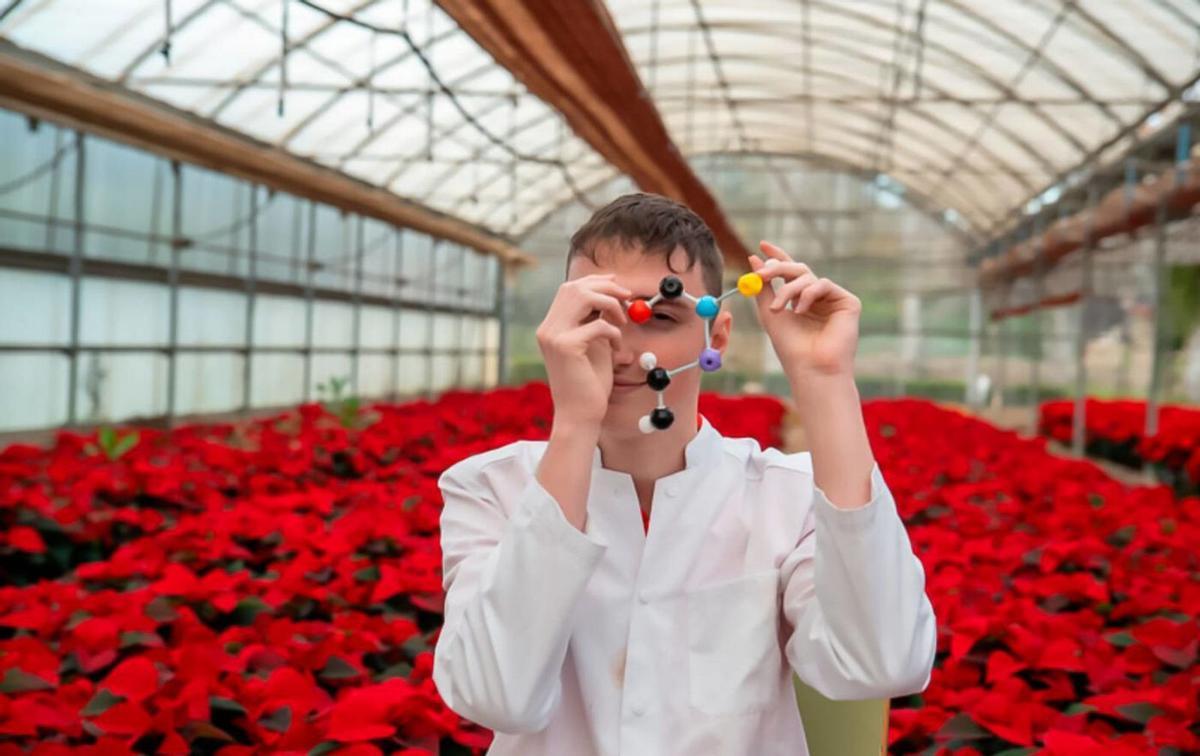 Més del 60% de les feines verdes depenen de cicles formatius