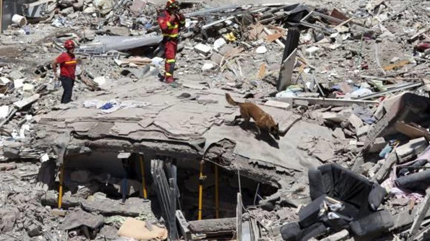 La Unidad Militar de Emergencias con un perro buscando ayer a los desaparecidos.