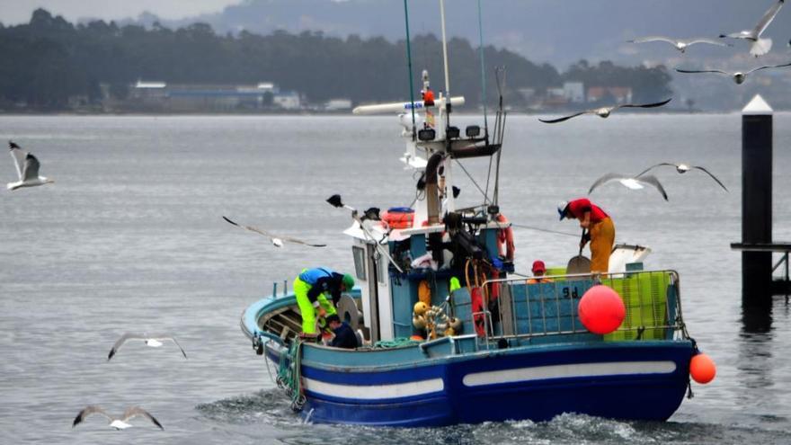 Los barcos de cerco dejan de pescar y el resto de la flota se lo empieza a pensar