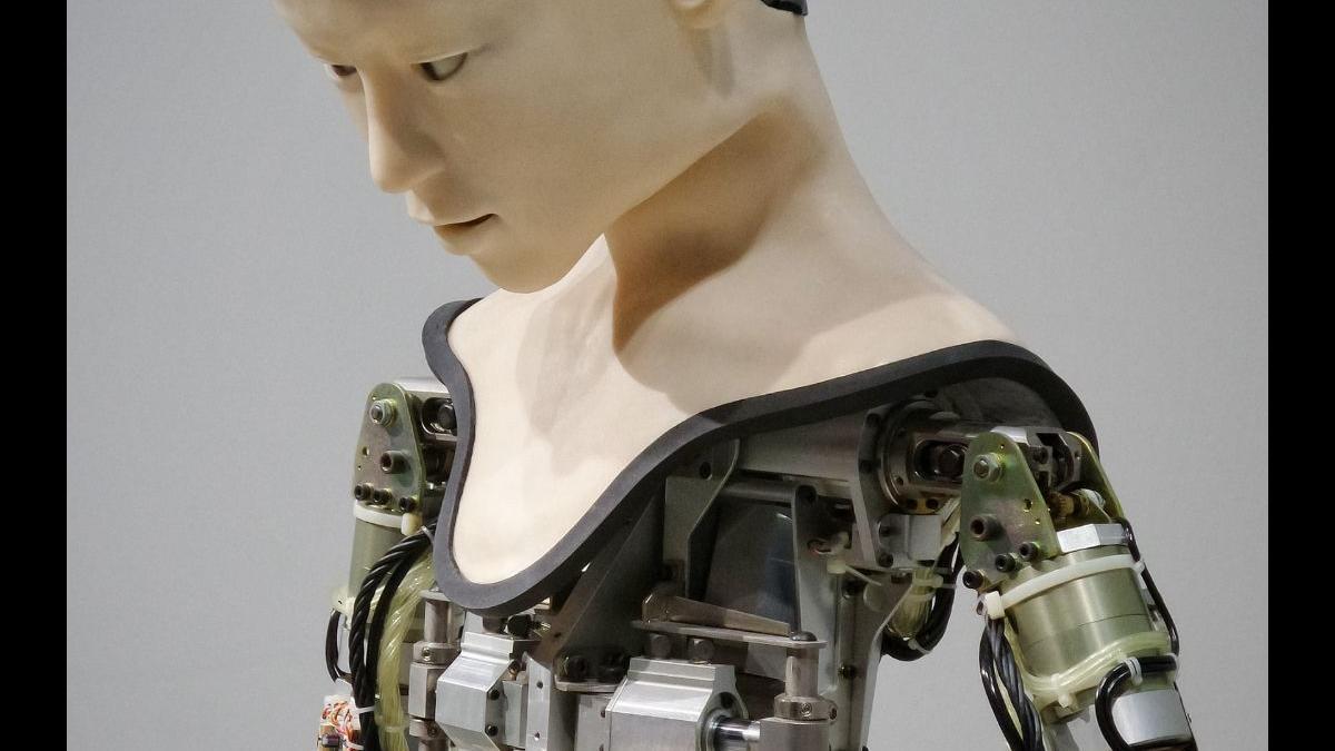 Una Inteligencia Artificial sesgada puede crear robots verdaderamente  inhumanos - Levante-EMV
