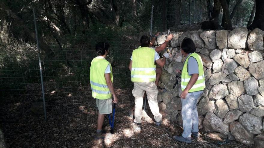 Apertura del camino público de la carreteta vieja Lluc Pollença