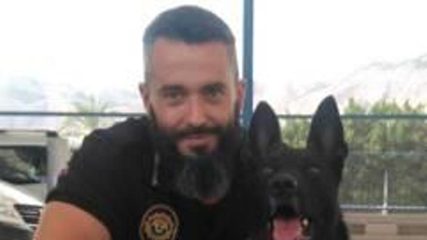 El perro policial de Alberic gana el premio autonómico de olfato