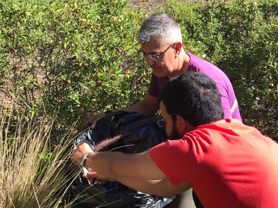 Trabajo con las especies invasoras en El Hierro