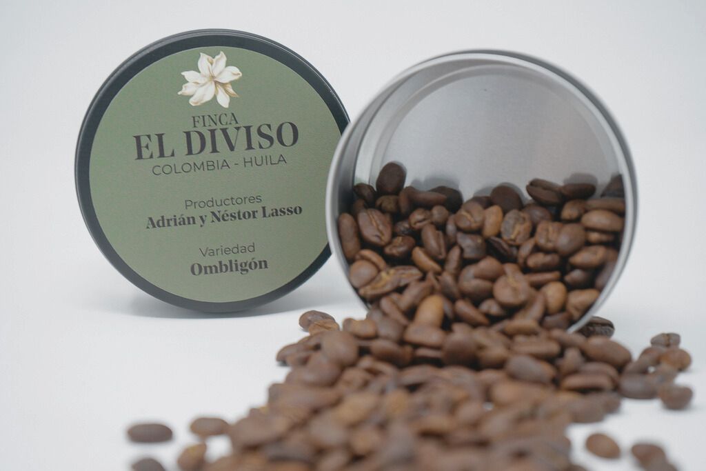 El café campeón de Root Café.