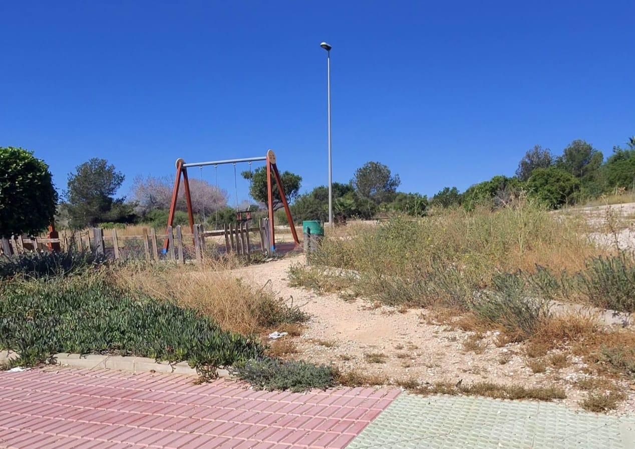 Una jungla sobre el asfalto de Orihuela Costa