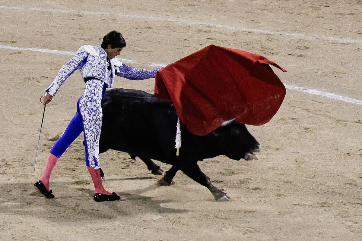 La corrida de toros celebrada el 30 de julio en el Coliseo de Palma.