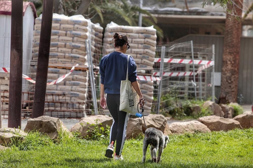 Reportaje: Gente con mascotas