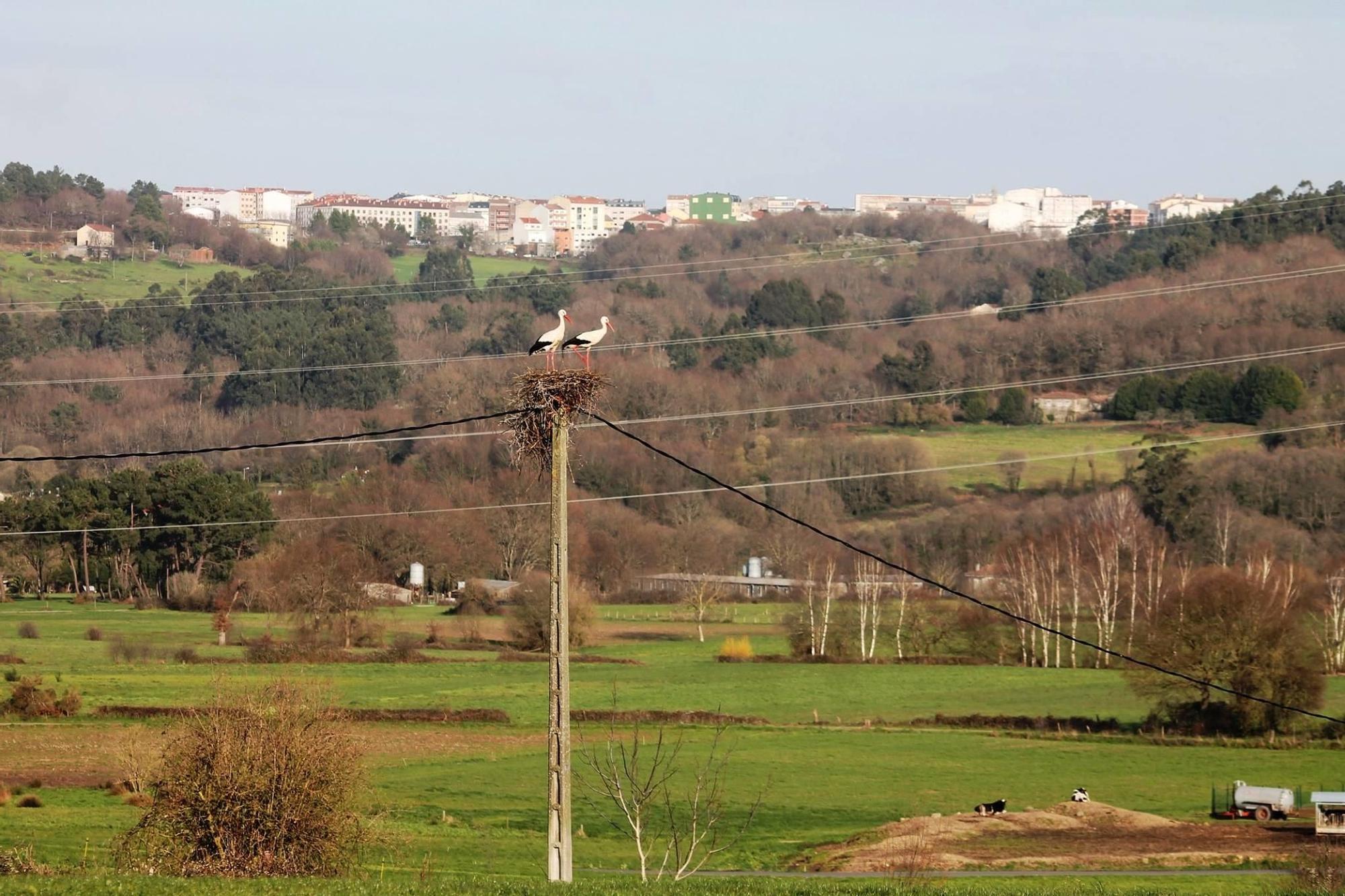 1 Ni�o en Corveira de Fiestras coa vila de Silleda ao fondo (Daniel G. Al�n).jpg