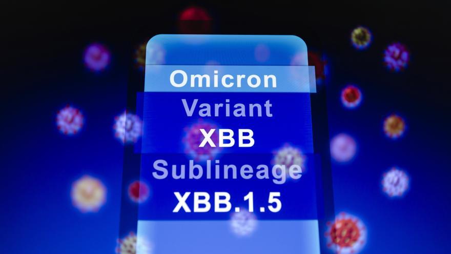 La frase 'ómicron, variante XBB y su sublinaje XBB.1.5' mostrada en un smartphone.