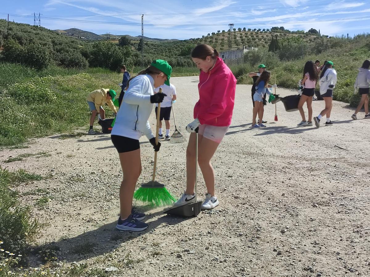 Estudiantes de Baena limpian un camino rural en el término municipal.