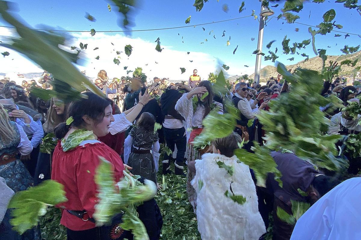 Lechugas al cielo para una batalla campal en Villena