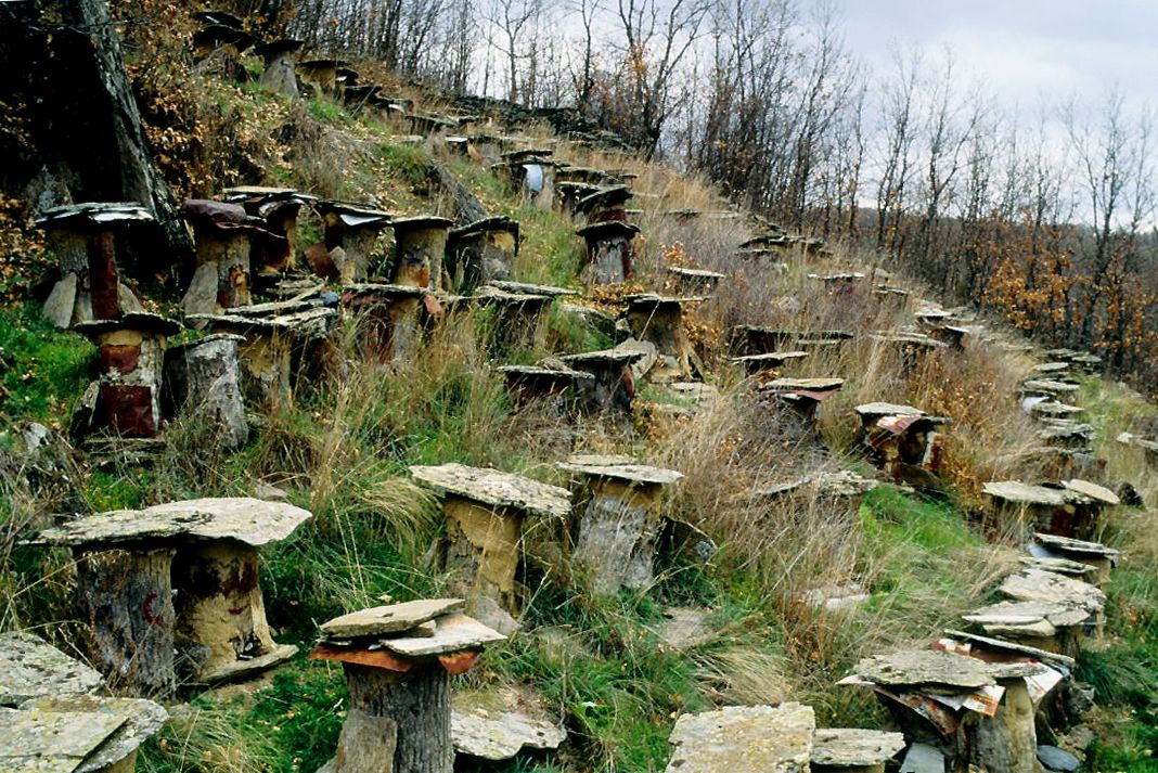 Las colmenas de El Colmenar de La Hiruela