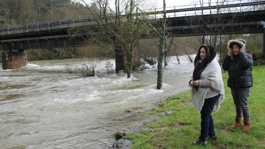 El río Narcea se desborda en Pavia por las intensas lluvias