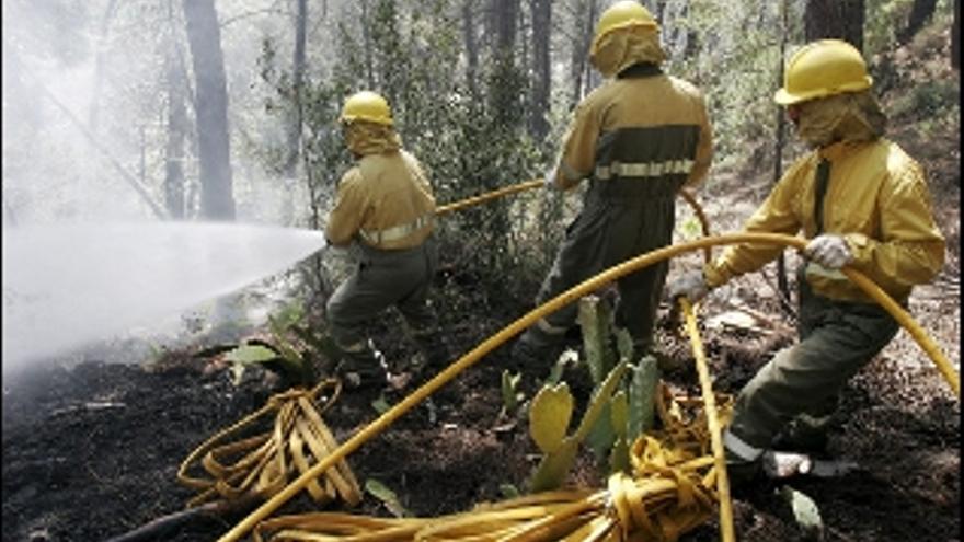 Un incendio arrasa más de cien hectáreas de monte en Ávila