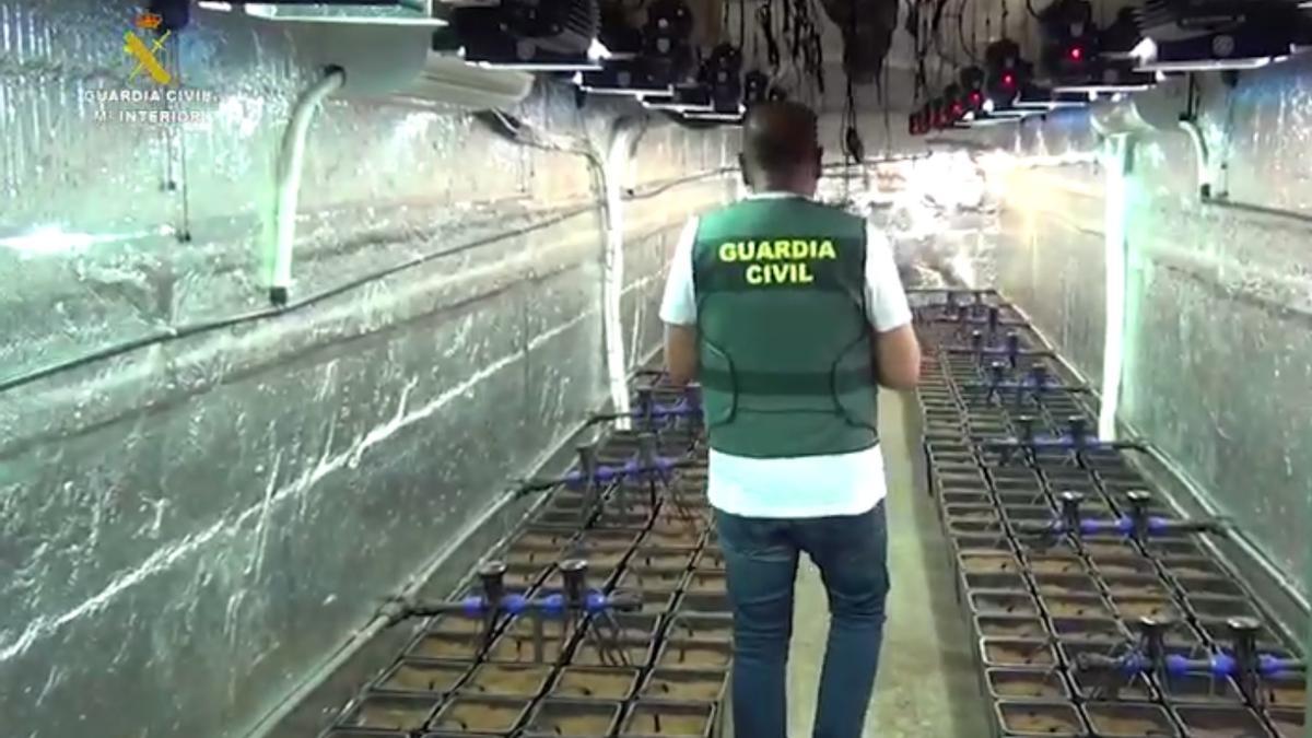 Operación contra los camiones de "paquetería" de Zamora que transportaban marihuana.