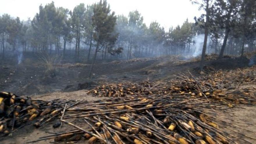 El lunes se despierta en Galicia con un manto de luto