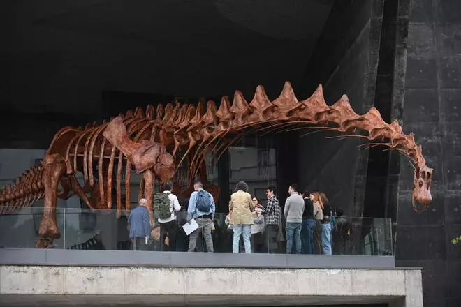 En imágenes | El dinosaurio más grande conocido conquista el Caixaforum de Zaragoza