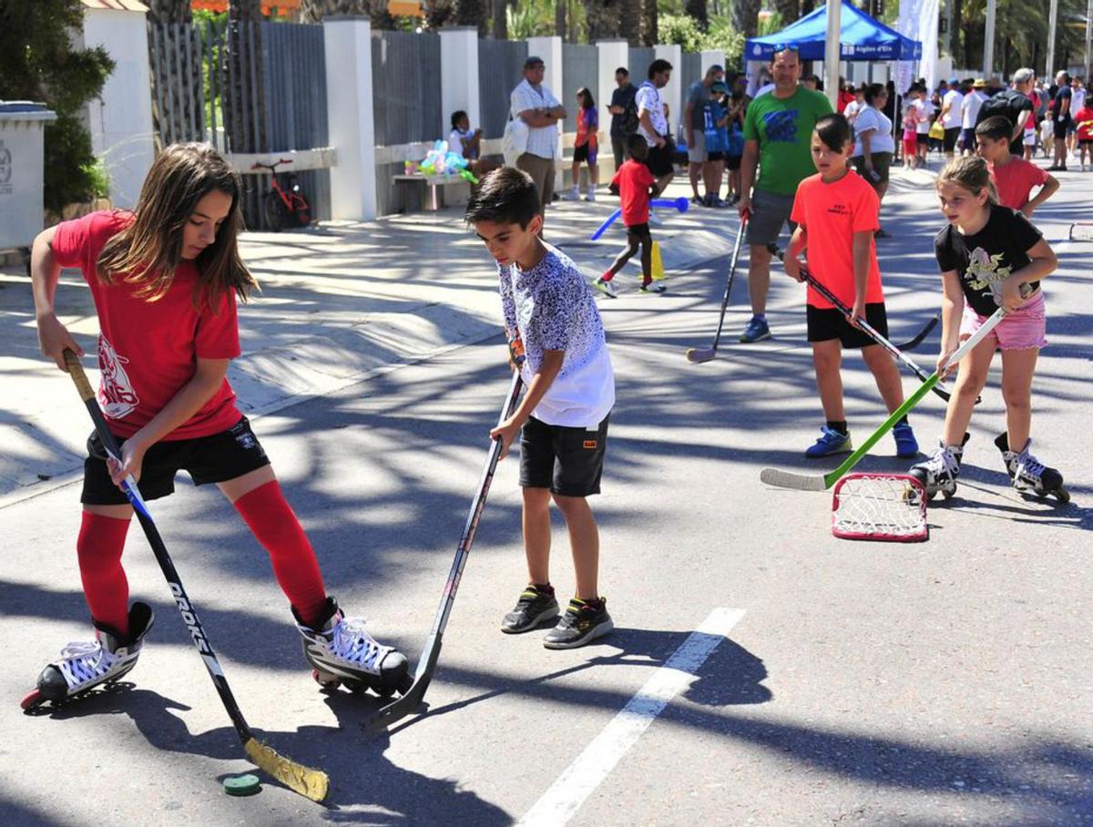 Elche supera los 190 clubes y los pabellones deportivos rozan el límite de capacidad