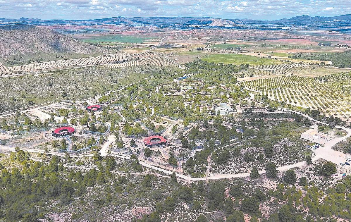 Instal·lacions del centre de rescat d’Alacant.