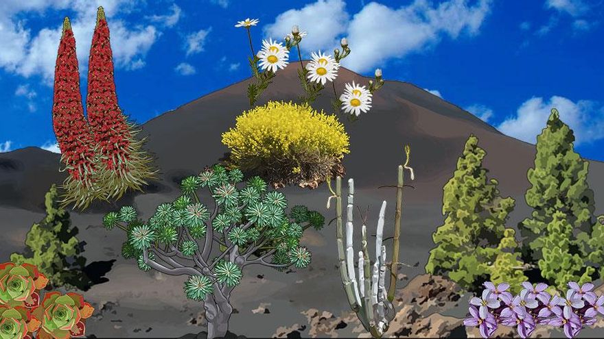 En Canarias hubo una isla gigante: así nació la biodiversidad de Lanzarote y Fuerteventura