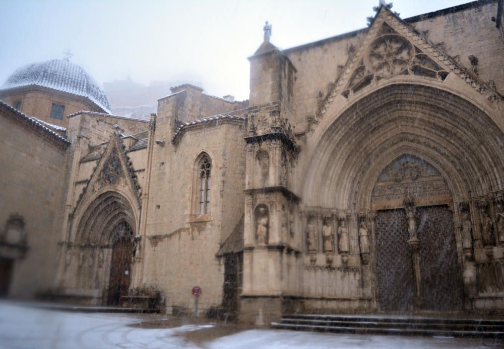 Morella