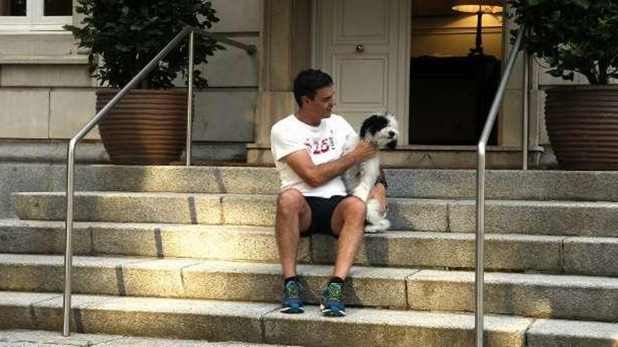 Pedro Sánchez, con su perro, en las escaleras de La Moncloa. // Moncloa