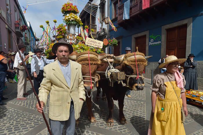 Carretas y grupos en la romería del Pino