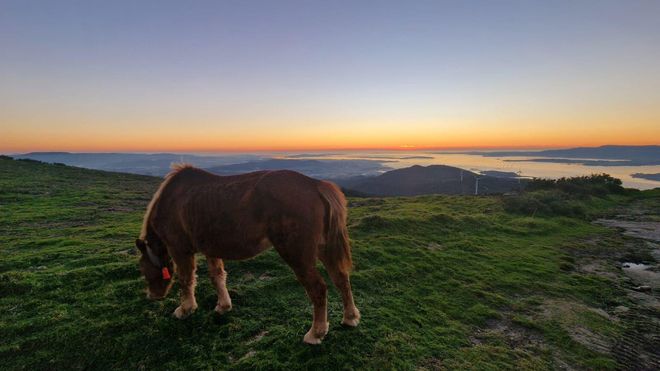 Bienvenida primavera: ideas para disfrutar de Arousa