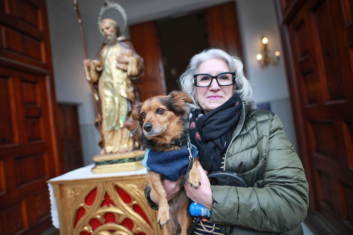 Las mejores imágenes de la bendición de animales de San Antón en Amoradí 2026 están aquí