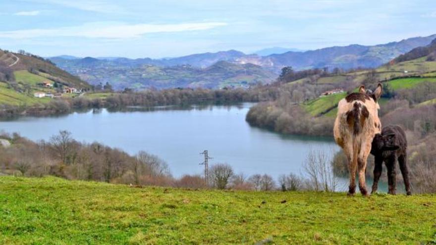 La Guía Secreta de Asturias: Los Alfilorios