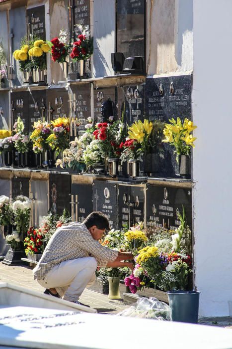 Visita al cementerio de Torrevieja en Todos los Sa