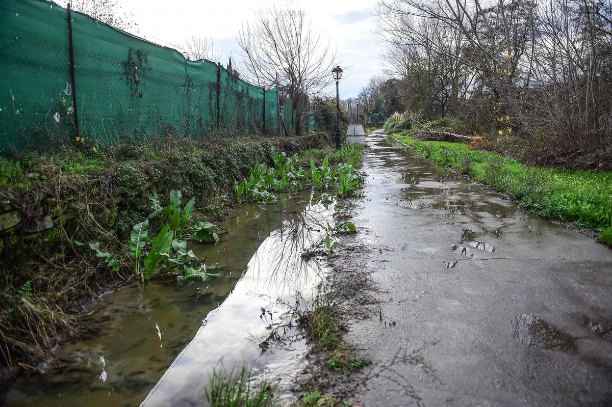 FOTOGALERÍA | Aguas fecales en uno de los paseos del río de Plasencia