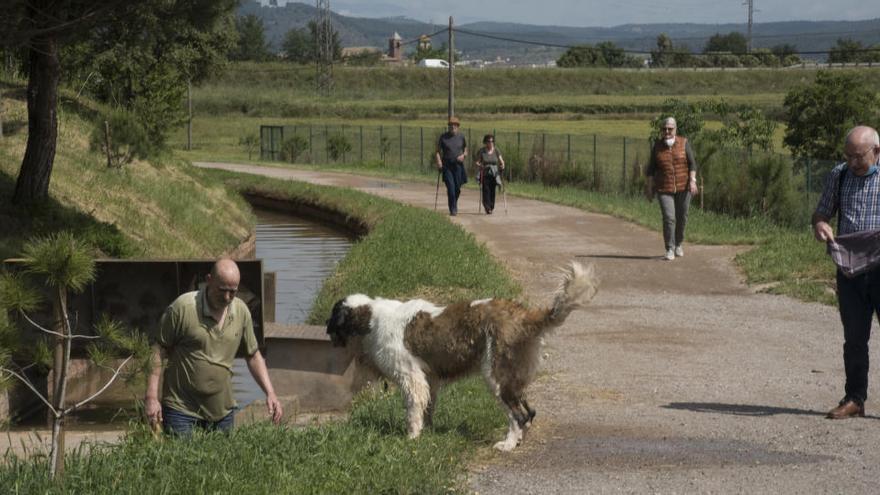 Gent passejant i fent esport al voltant del Parc de l&#039;Agulla de Manresa