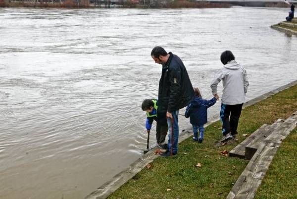 Fotogalería: El Ebro crece a su paso por Zaragoza