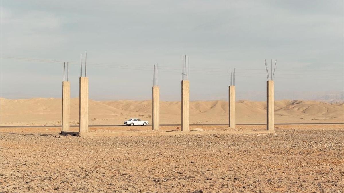 zentauroepp51181503 internacional  ha aretz  la tierra prometida  fotografia de 191204192007