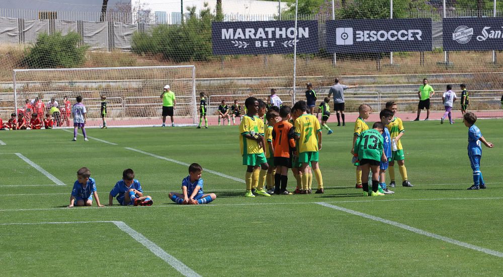 Búscate en las fotos de la VI Fiesta del Deporte de Málaga