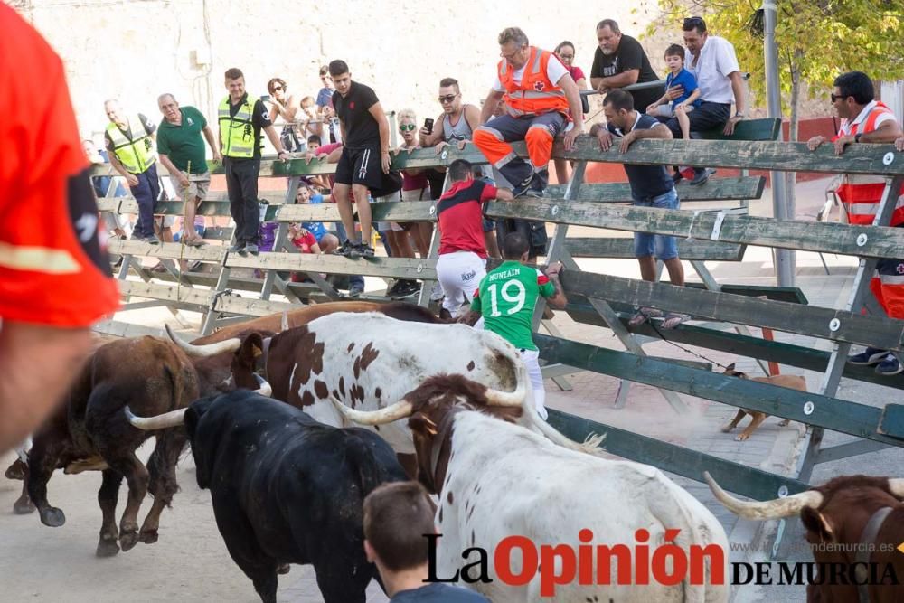 Tercer encierro en Calasparra