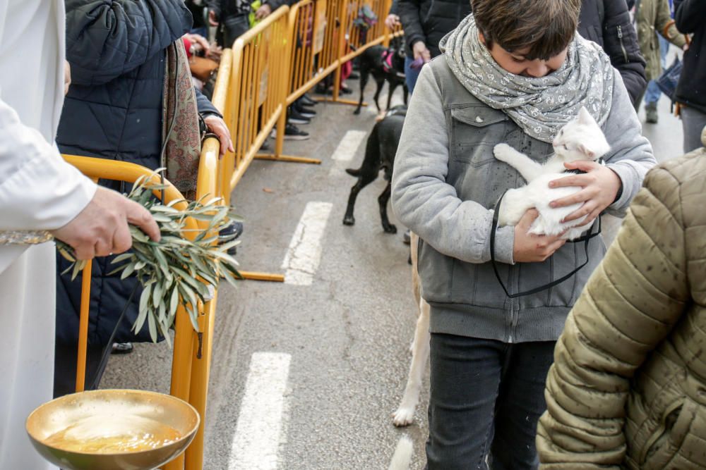 Fiesta de Sant Antoni en la ermita de vera