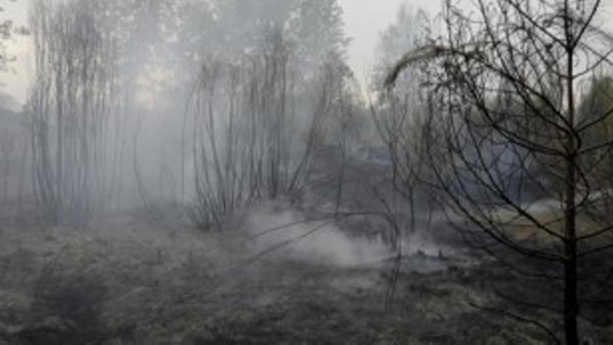 Desalojada una urbanización de Paterna por un incendio forestal