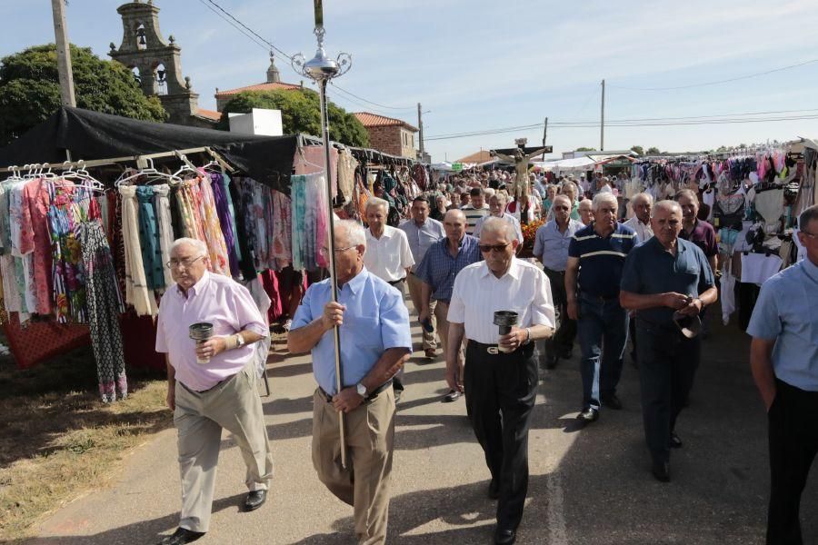 Fiesta de la Trashumancia en San Vitero