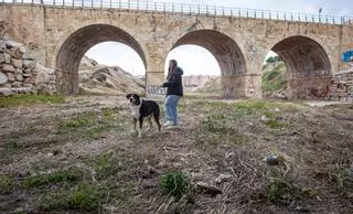 Los vecinos de Gran Vía Sur Alicante exigen al bipartito la limpieza del Barranco de las Ovejas