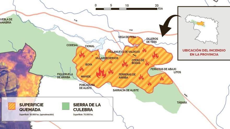 Medio Ambiente cifra en 30.800 hectáreas el desastre, que afecta a 24 pueblos.