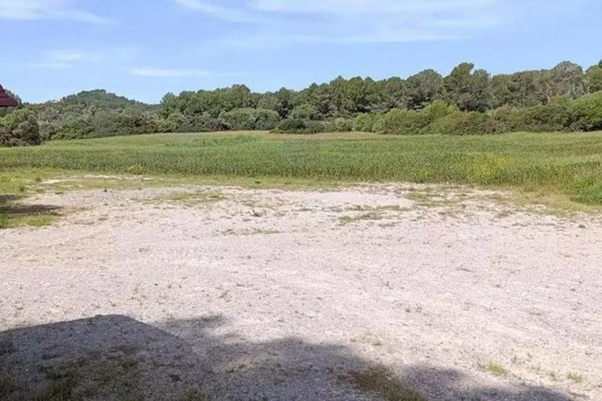 Mittlerweile werden auf dem ehemaligen Cala-Agulla-Parkplatz Saubohnen angebaut