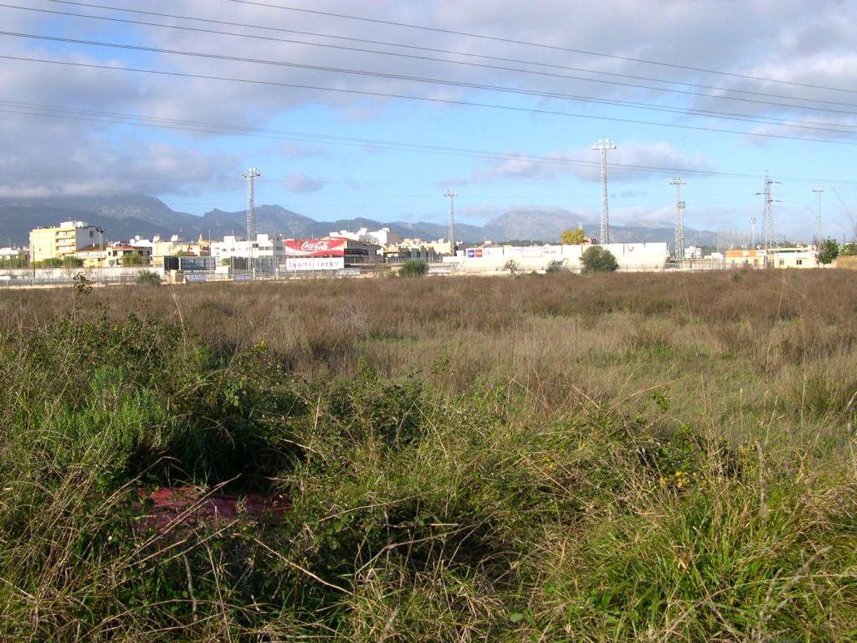 Terrenos de Inca donde se desarrollará el tercer polígono industrial de la ciudad.