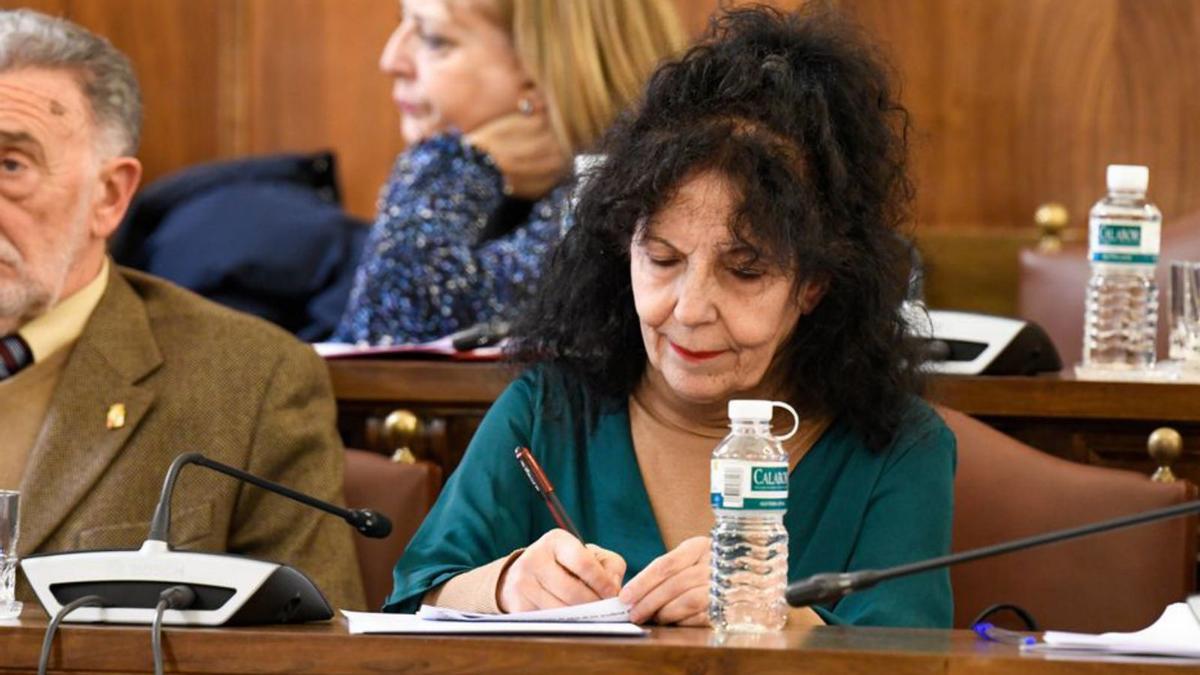 La concejala de Personal Laura Rivera, en un pleno de la Diputación.