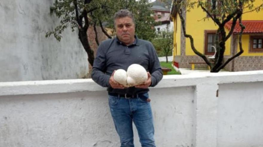 Un vecino de Aller encuentra en el monte una seta gigante de casi cuatro kilos