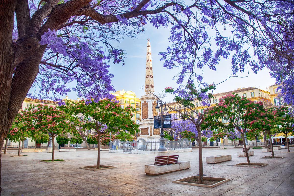 Plaza de la Merced, Malaga