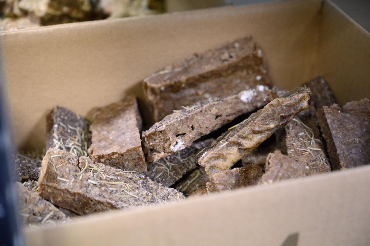 En imágenes | Así es la primera pastelería para mascotas en Aragón