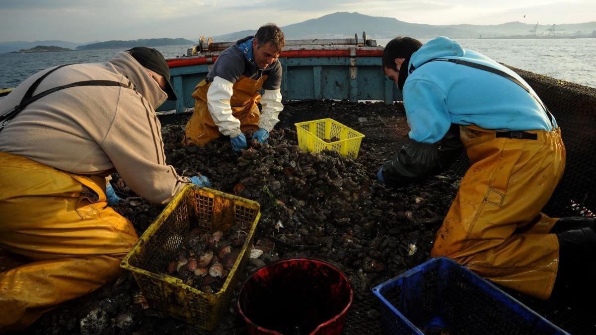 Las ayudas oscilan entre el 50 y el 100% del coste total del proyecto.