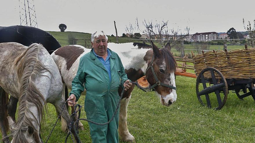 La yegua “Gini” y los carros de Ondina, otra vez en casa